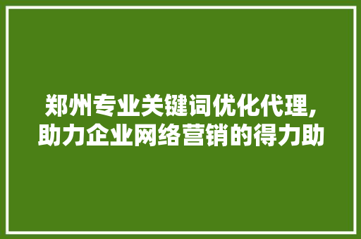 郑州专业关键词优化代理,助力企业网络营销的得力助手