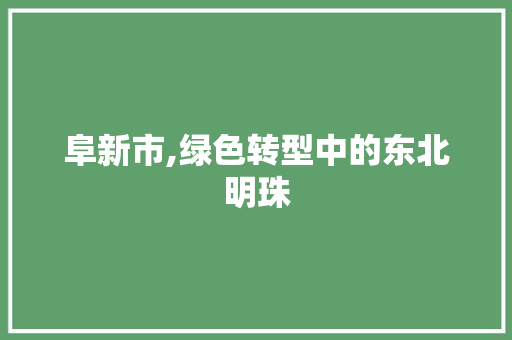 阜新市,绿色转型中的东北明珠