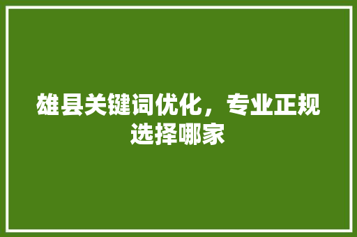 雄县关键词优化，专业正规选择哪家