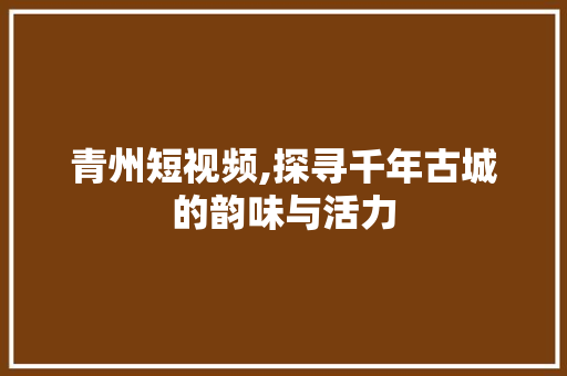 青州短视频,探寻千年古城的韵味与活力