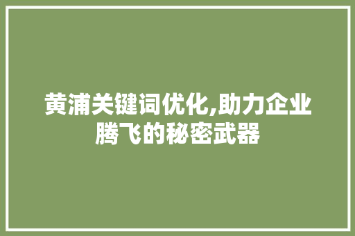 黄浦关键词优化,助力企业腾飞的秘密武器