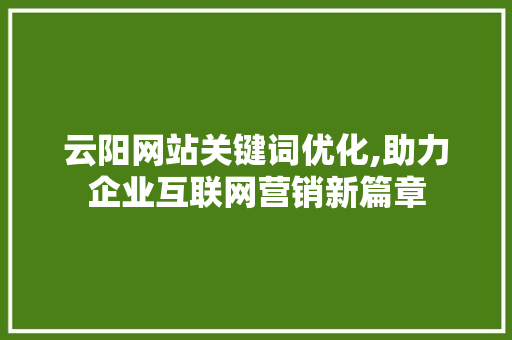 云阳网站关键词优化,助力企业互联网营销新篇章