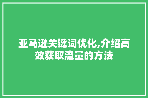 亚马逊关键词优化,介绍高效获取流量的方法
