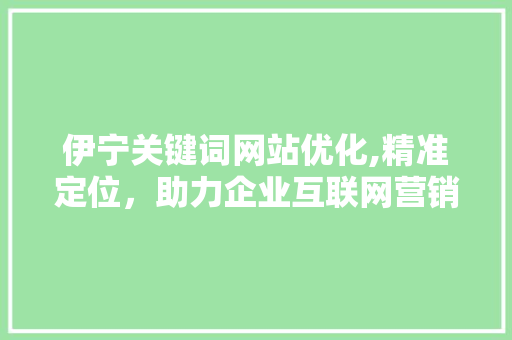 伊宁关键词网站优化,精准定位，助力企业互联网营销