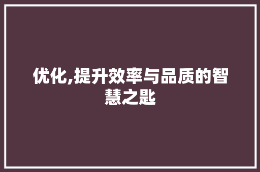 优化,提升效率与品质的智慧之匙
