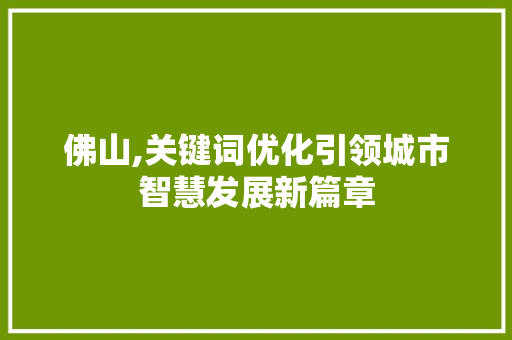 佛山,关键词优化引领城市智慧发展新篇章