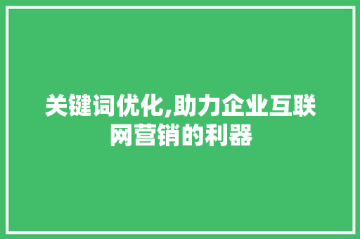 关键词优化,助力企业互联网营销的利器