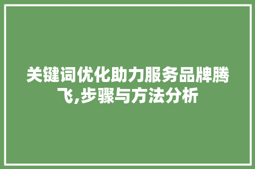 关键词优化助力服务品牌腾飞,步骤与方法分析