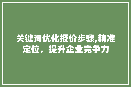 关键词优化报价步骤,精准定位，提升企业竞争力