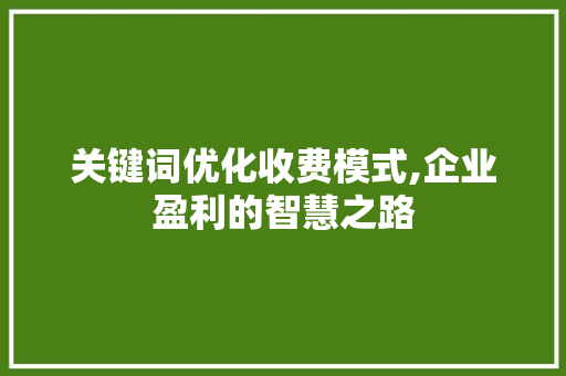 关键词优化收费模式,企业盈利的智慧之路