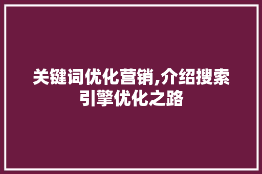关键词优化营销,介绍搜索引擎优化之路