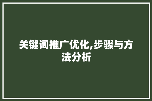 关键词推广优化,步骤与方法分析