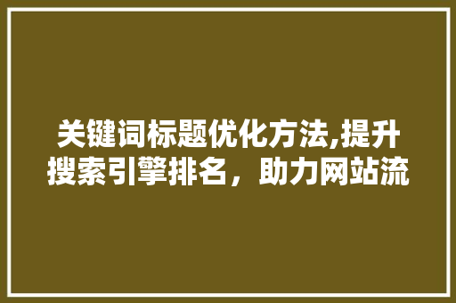 关键词标题优化方法,提升搜索引擎排名，助力网站流量增长