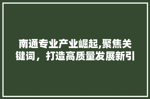 南通专业产业崛起,聚焦关键词，打造高质量发展新引擎