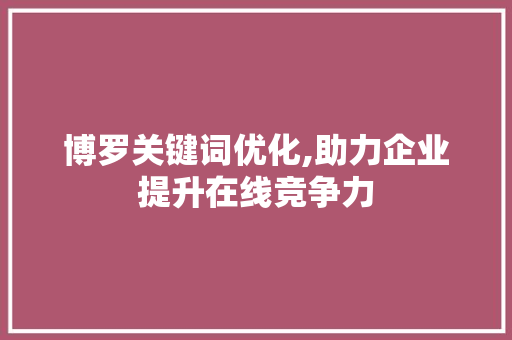 博罗关键词优化,助力企业提升在线竞争力