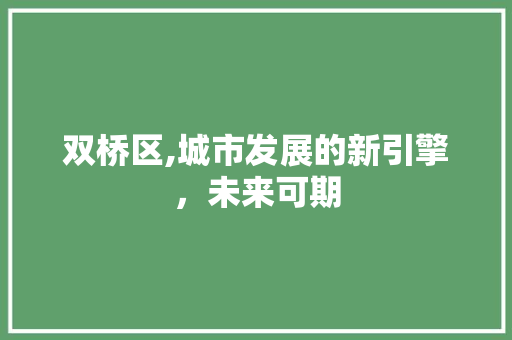双桥区,城市发展的新引擎，未来可期