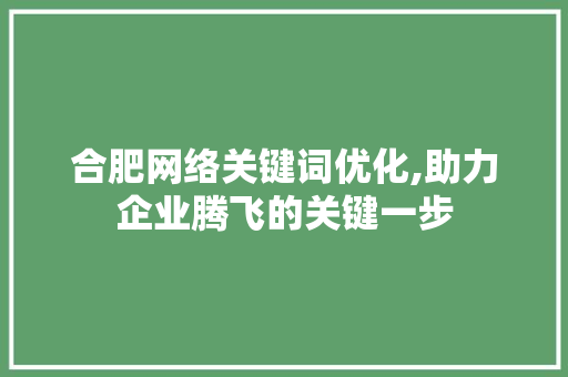 合肥网络关键词优化,助力企业腾飞的关键一步