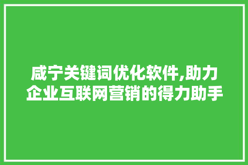 咸宁关键词优化软件,助力企业互联网营销的得力助手