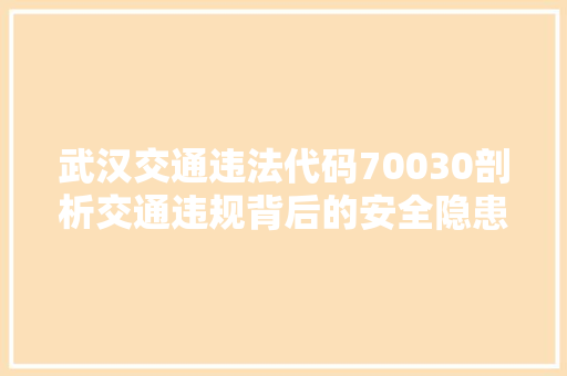武汉交通违法代码70030剖析交通违规背后的安全隐患