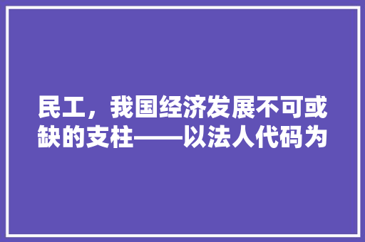 民工，我国经济发展不可或缺的支柱——以法人代码为视角