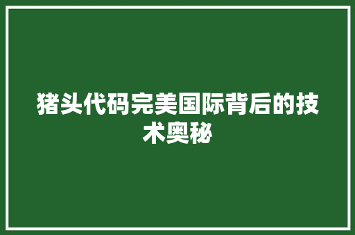 猪头代码完美国际背后的技术奥秘