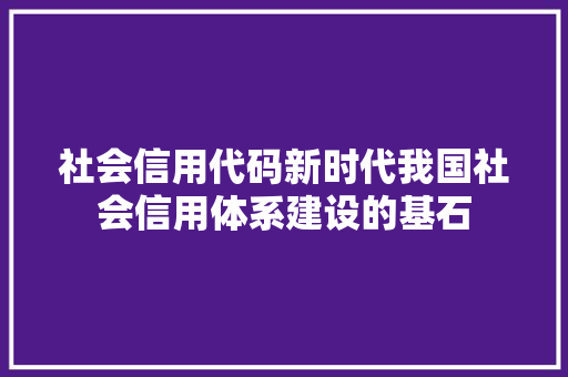 社会信用代码新时代我国社会信用体系建设的基石