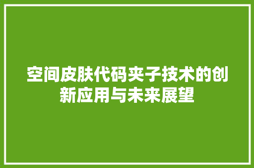 空间皮肤代码夹子技术的创新应用与未来展望