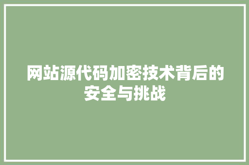 网站源代码加密技术背后的安全与挑战