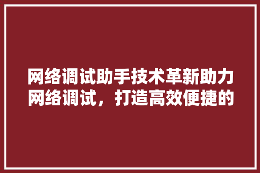 网络调试助手技术革新助力网络调试，打造高效便捷的调试体验