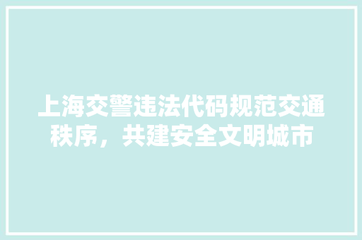 上海交警违法代码规范交通秩序，共建安全文明城市