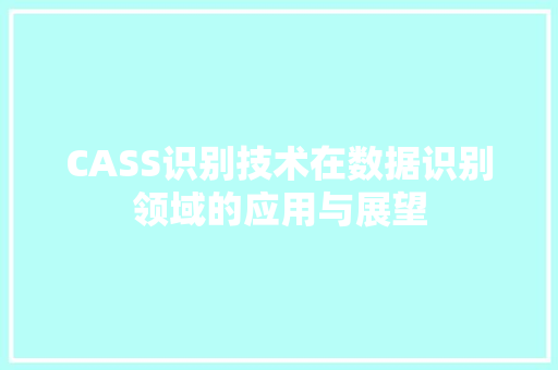 CASS识别技术在数据识别领域的应用与展望