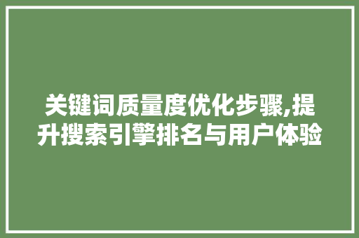 关键词质量度优化步骤,提升搜索引擎排名与用户体验