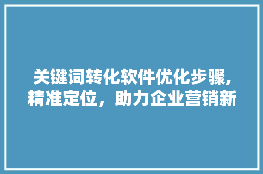 关键词转化软件优化步骤,精准定位，助力企业营销新篇章