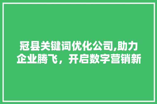 冠县关键词优化公司,助力企业腾飞，开启数字营销新篇章