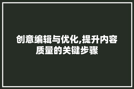 创意编辑与优化,提升内容质量的关键步骤