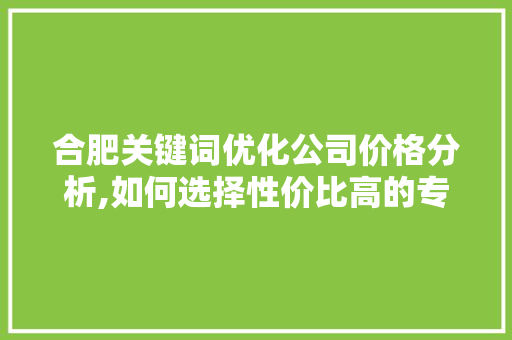 合肥关键词优化公司价格分析,如何选择性价比高的专业服务