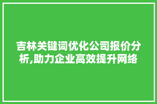 吉林关键词优化公司报价分析,助力企业高效提升网络营销