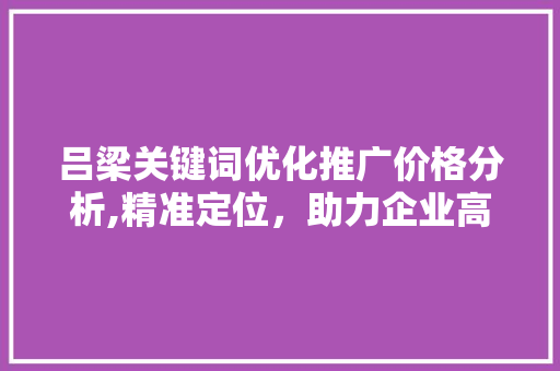 吕梁关键词优化推广价格分析,精准定位，助力企业高效营销
