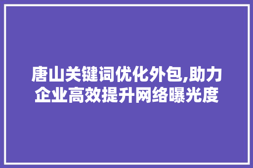唐山关键词优化外包,助力企业高效提升网络曝光度