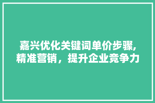 嘉兴优化关键词单价步骤,精准营销，提升企业竞争力