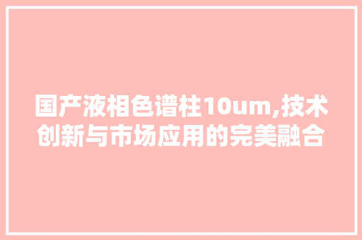 国产液相色谱柱10um,技术创新与市场应用的完美融合