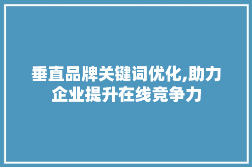 垂直品牌关键词优化,助力企业提升在线竞争力