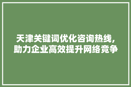 天津关键词优化咨询热线,助力企业高效提升网络竞争力