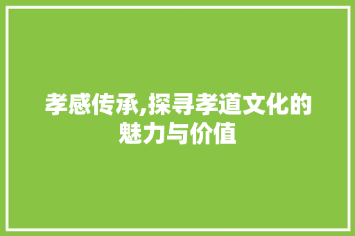 孝感传承,探寻孝道文化的魅力与价值