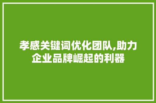 孝感关键词优化团队,助力企业品牌崛起的利器