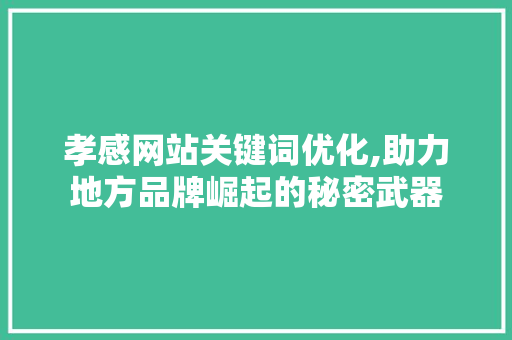 孝感网站关键词优化,助力地方品牌崛起的秘密武器