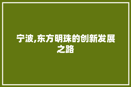 宁波,东方明珠的创新发展之路