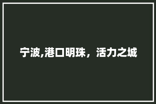 宁波,港口明珠，活力之城