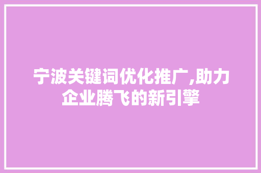 宁波关键词优化推广,助力企业腾飞的新引擎