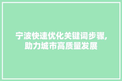 宁波快速优化关键词步骤,助力城市高质量发展